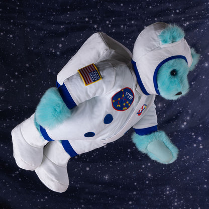 15 In. Interstellar Bear